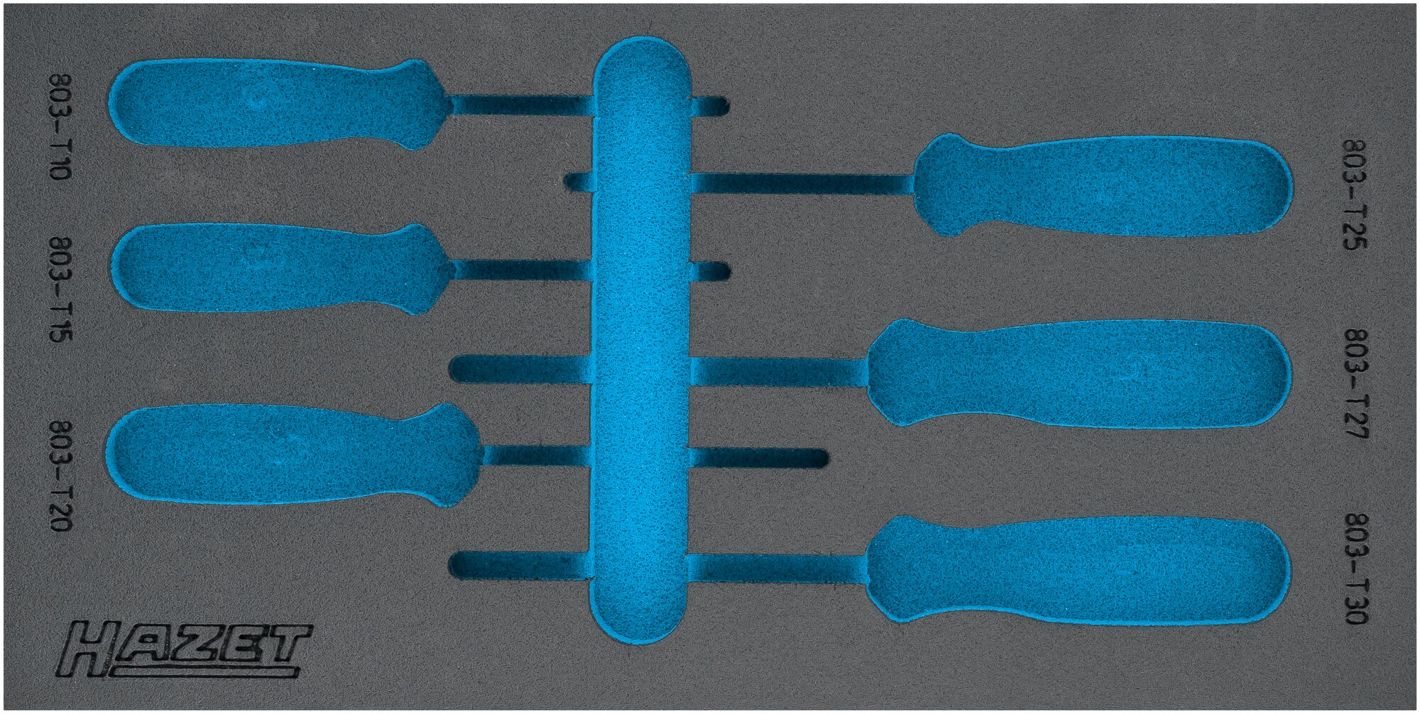 HAZET 2-Komponenten Weichschaumeinlage 163-225L ∙ L x B: 342 x 172 mm