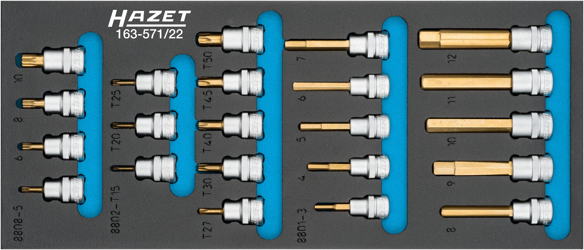 HAZET Schraubendreher-Steckschlüsseleinsatz Satz 163-571/22 ∙ 3/8 Zoll (10 mm) Vierkant∙ Innen TORX® Profil, Innen Vielzahn Profil XZN, Innen Sechskant Profil ∙ 22-teilig ∙ 19 – 36